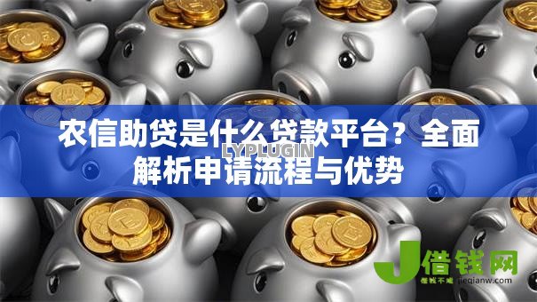 农信助贷是什么贷款平台？全面解析申请流程与优势