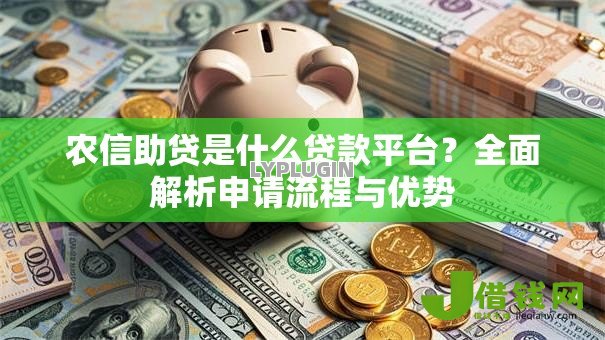 农信助贷是什么贷款平台？全面解析申请流程与优势