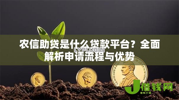 农信助贷是什么贷款平台？全面解析申请流程与优势