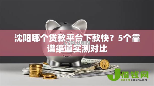 沈阳哪个贷款平台下款快？5个靠谱渠道实测对比