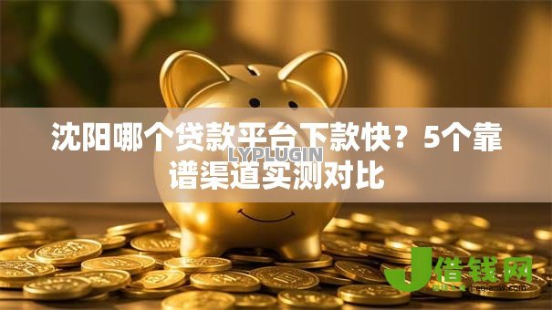 沈阳哪个贷款平台下款快？5个靠谱渠道实测对比