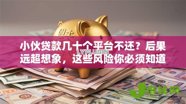 小伙贷款几十个平台不还?后果远超想象,这些风险你必须知道! 小伙贷款几十个平台不还?后果远超想象,这些风险你必须知道!