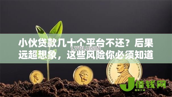 小伙贷款几十个平台不还?后果远超想象,这些风险你必须知道! 小伙贷款几十个平台不还?后果远超想象,这些风险你必须知道!