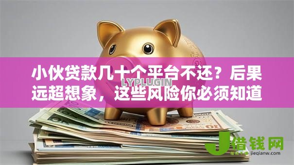 小伙贷款几十个平台不还?后果远超想象,这些风险你必须知道! 小伙贷款几十个平台不还?后果远超想象,这些风险你必须知道!