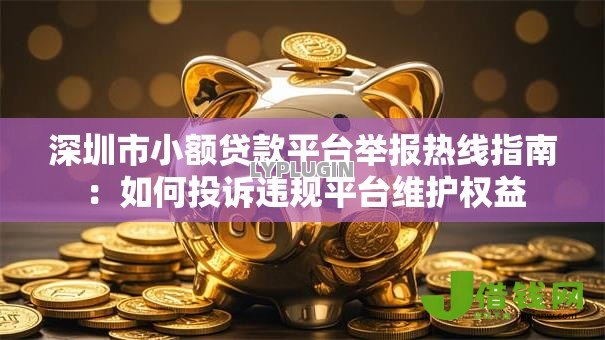 深圳市小额贷款平台举报热线指南：如何投诉违规平台维护权益