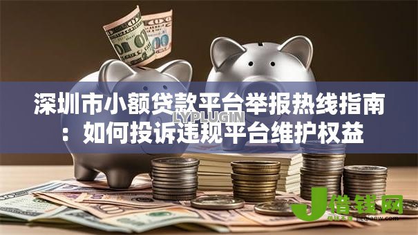 深圳市小额贷款平台举报热线指南：如何投诉违规平台维护权益