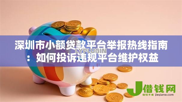 深圳市小额贷款平台举报热线指南：如何投诉违规平台维护权益