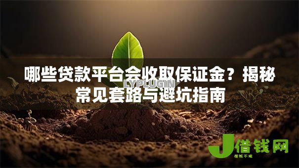 哪些贷款平台会收取保证金？揭秘常见套路与避坑指南