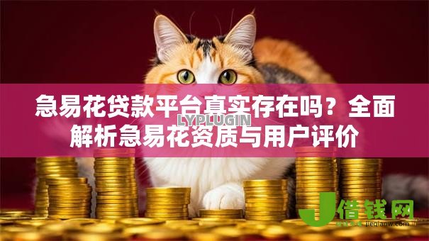 急易花贷款平台真实存在吗?全面解析急易花资质与用户评价 急易花贷款平台真实存在吗?全面解析急易花资质与用户评价