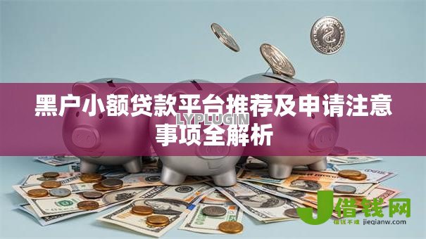 黑户小额贷款平台推荐及申请注意事项全解析