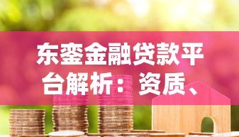 东銮金融贷款平台解析：资质、产品与用户评价