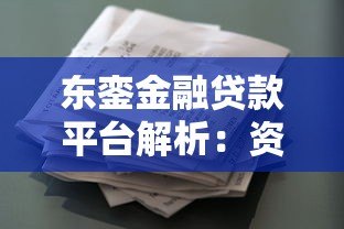 东銮金融贷款平台解析：资质、产品与用户评价
