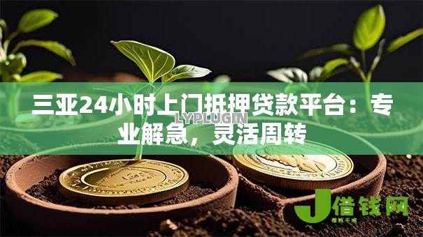 三亚24小时上门抵押贷款平台：专业解急，灵活周转