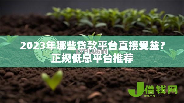 2023年哪些贷款平台直接受益？正规低息平台推荐