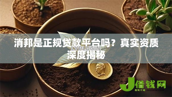 消邦是正规贷款平台吗?真实资质深度揭秘 消邦是正规贷款平台吗?真实资质深度揭秘