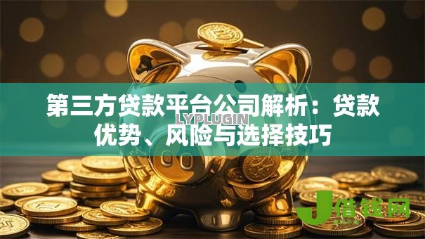 第三方贷款平台公司解析：贷款优势、风险与选择技巧