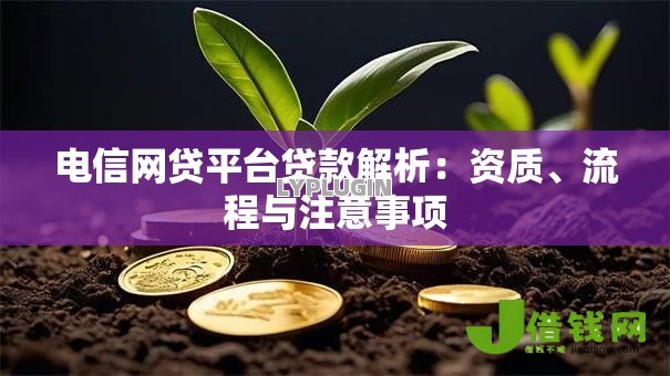 电信网贷平台贷款解析：资质、流程与注意事项