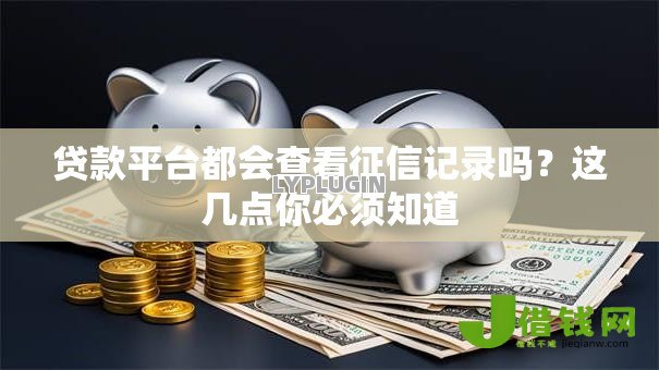 贷款平台都会查看征信记录吗？这几点你必须知道