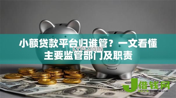 小额贷款平台归谁管？一文看懂主要监管部门及职责