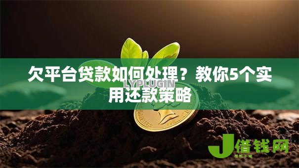 欠平台贷款如何处理?教你5个实用还款策略 欠平台贷款如何处理?教你5个实用还款策略