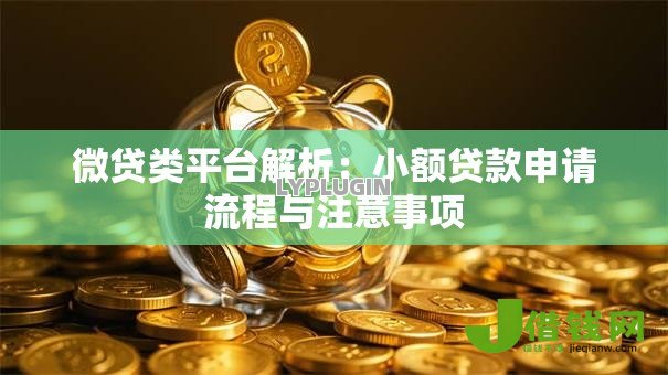 微贷类平台解析：小额贷款申请流程与注意事项