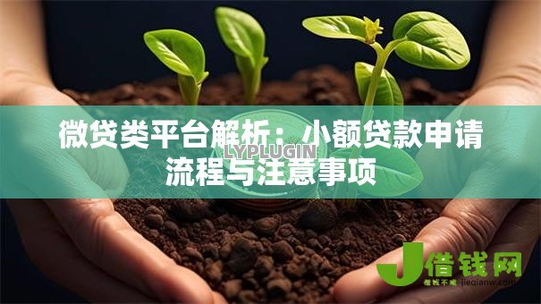 微贷类平台解析：小额贷款申请流程与注意事项