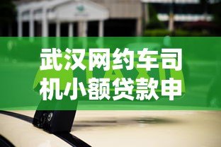 武汉网约车司机小额贷款申请指南及平台推荐
