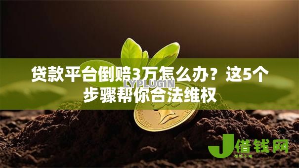 贷款平台倒赔3万怎么办？这5个步骤帮你合法维权
