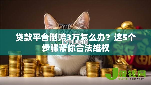贷款平台倒赔3万怎么办？这5个步骤帮你合法维权