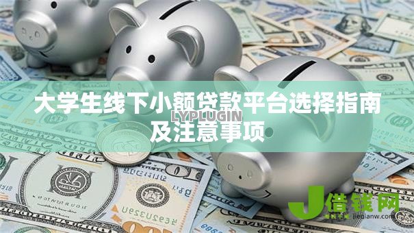 大学生线下小额贷款平台选择指南及注意事项 大学生线下小额贷款平台选择指南及注意事项