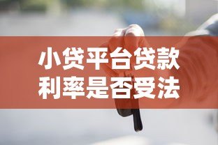 小贷平台贷款利率是否受法律限制？权威解读来了