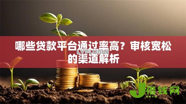 哪些贷款平台通过率高？审核宽松的渠道解析