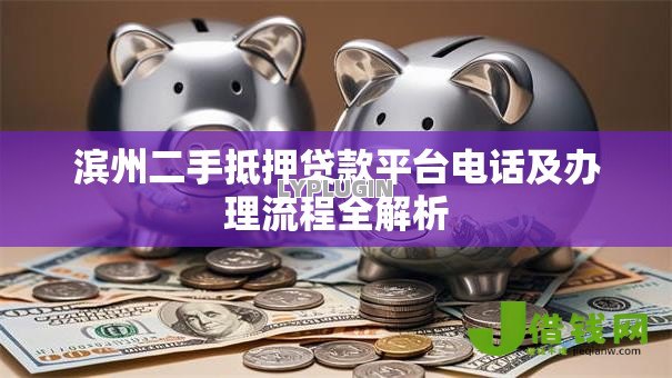 滨州二手抵押贷款平台电话及办理流程全解析