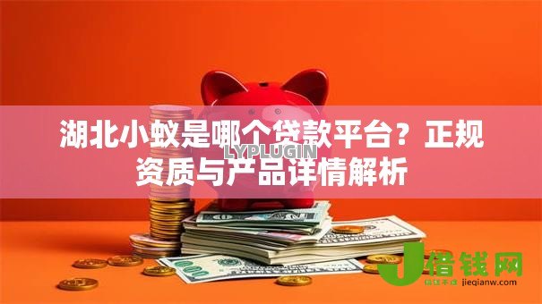 湖北小蚁是哪个贷款平台？正规资质与产品详情解析