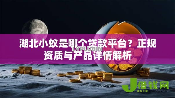 湖北小蚁是哪个贷款平台？正规资质与产品详情解析