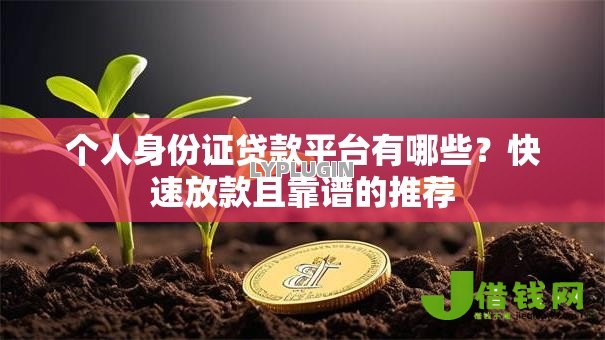 个人身份证贷款平台有哪些？快速放款且靠谱的推荐