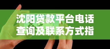 沈阳贷款平台电话查询及联系方式指南