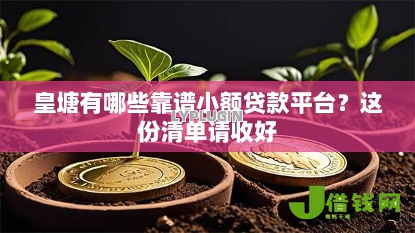 皇塘有哪些靠谱小额贷款平台?这份清单请收好 皇塘有哪些靠谱小额贷款平台?这份清单请收好