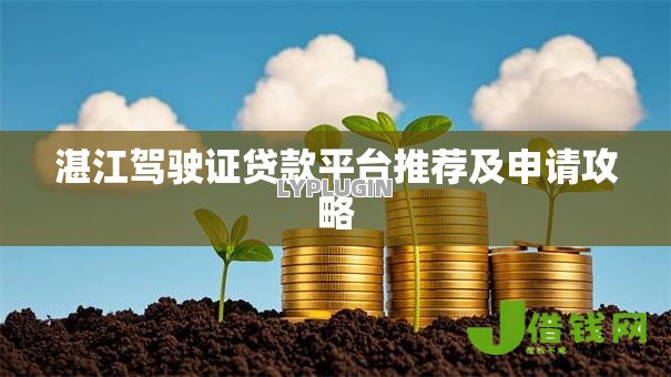 湛江驾驶证贷款平台推荐及申请攻略