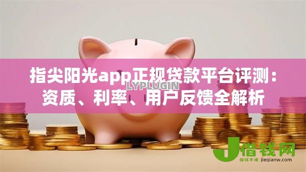 指尖阳光app正规贷款平台评测：资质、利率、用户反馈全解析