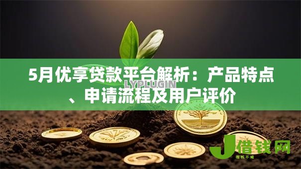 5月优享贷款平台解析：产品特点、申请流程及用户评价