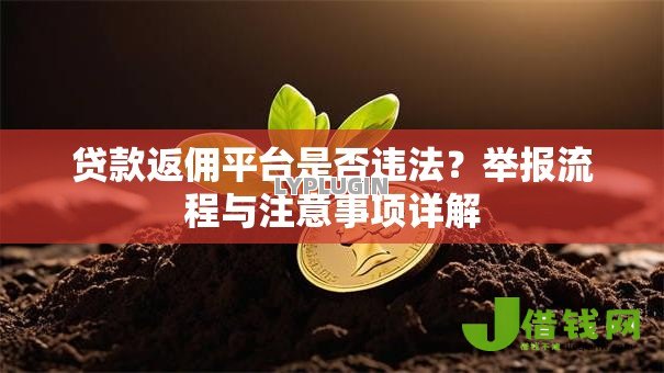 贷款返佣平台是否违法？举报流程与注意事项详解