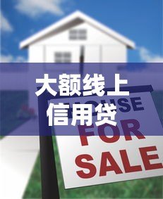 大额线上信用贷款平台是真的吗？真相揭秘