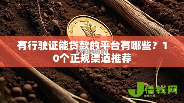 有行驶证能贷款的平台有哪些?10个正规渠道推荐 有行驶证能贷款的平台有哪些?10个正规渠道推荐