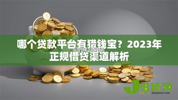 哪个贷款平台有猎钱宝？2023年正规借贷渠道解析