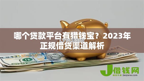哪个贷款平台有猎钱宝？2023年正规借贷渠道解析