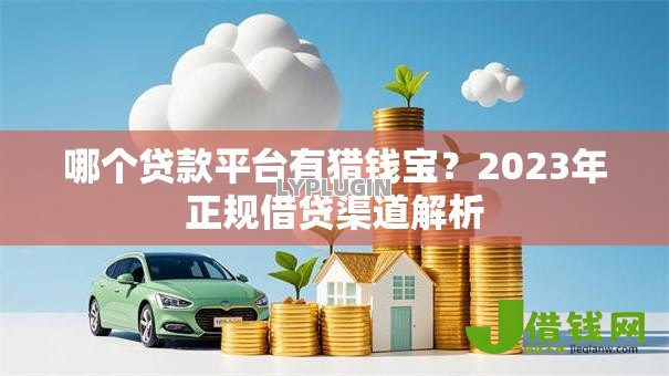 哪个贷款平台有猎钱宝？2023年正规借贷渠道解析