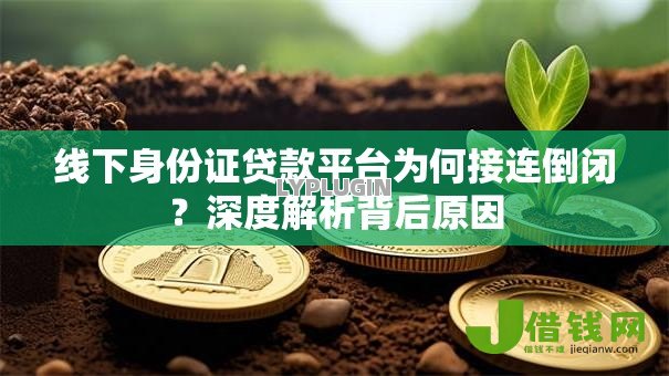 线下身份证贷款平台为何接连倒闭?深度解析背后原因 线下身份证贷款平台为何接连倒闭?深度解析背后原因
