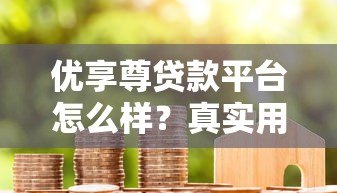 优享尊贷款平台怎么样？真实用户评测与全面解析