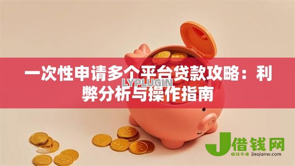 一次性申请多个平台贷款攻略：利弊分析与操作指南